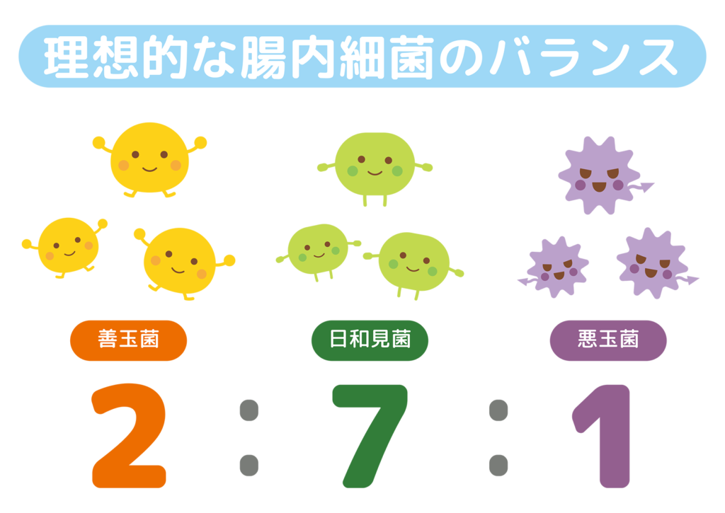 🌱腸活🌱腸内細菌って何？