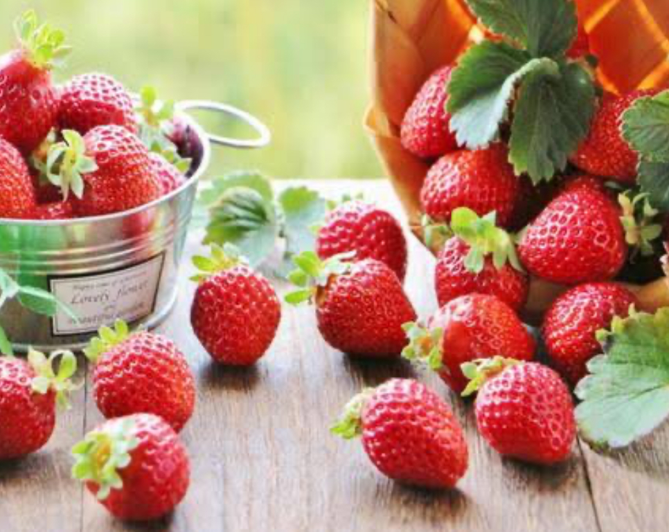 🍓大好きなイチゴで、手作り酵素ドリンク
