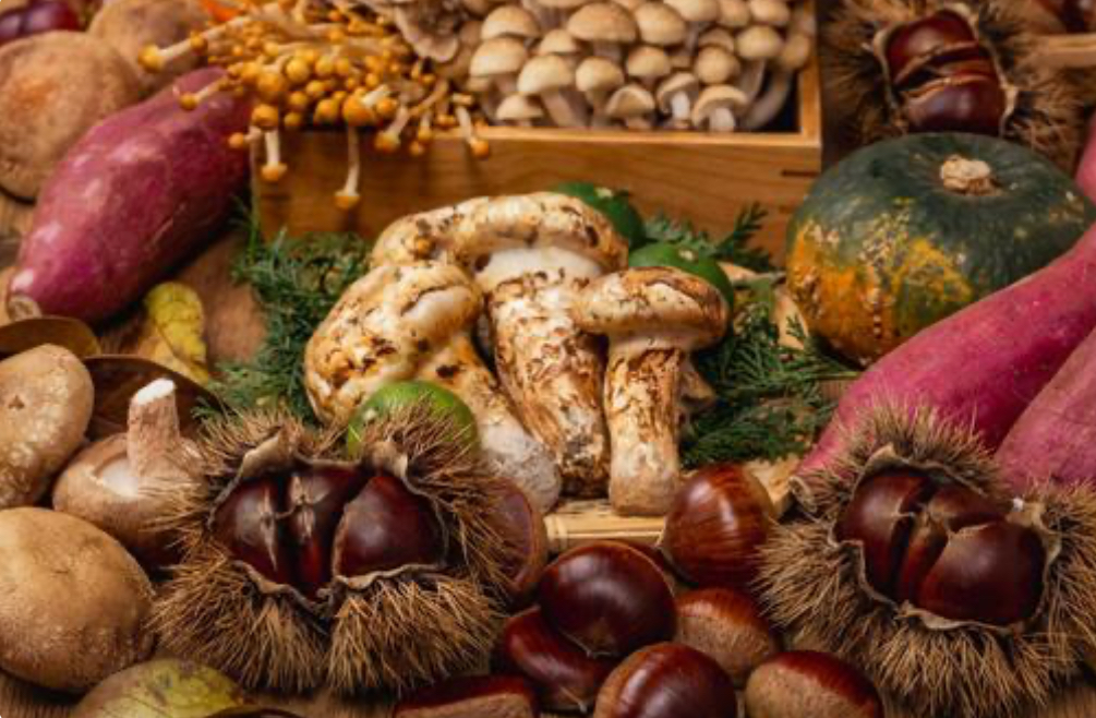 旬の根菜で腸を温めよう🌿